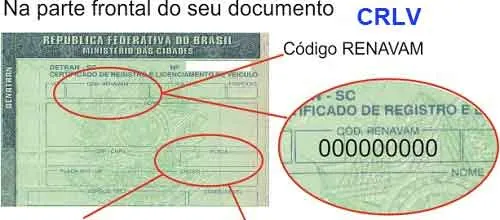 Renavam O Que E E Quando Ele E Feito Consulta Auto